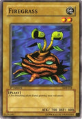 Image for Firegrass (LOB-018) (LOB) - YuGiOh