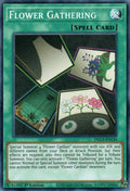 Image for Flower Gathering (DLCS-EN136) (DLCS) - YuGiOh