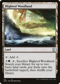 Image for Blighted Woodland (121) (Zendikar Rising) - Magic: The Gathering