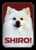 Image for Gloss Sleeve - Shiro (50-Pack) - Card Sleeves