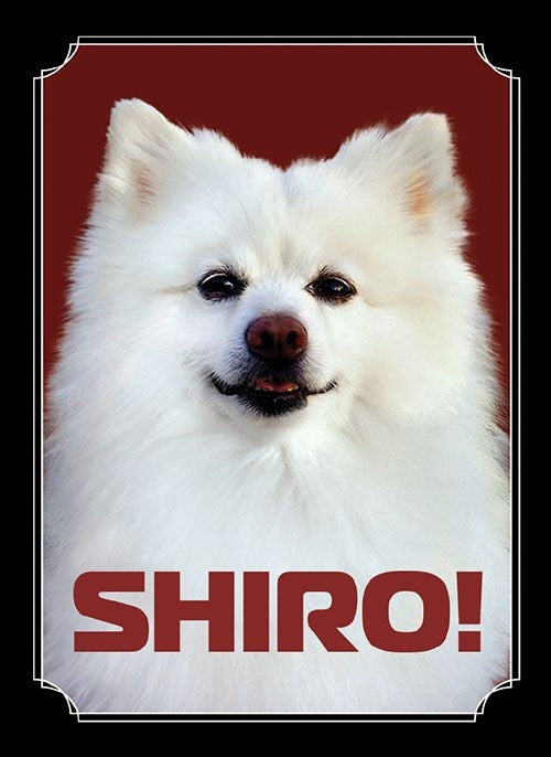Image for Gloss Sleeve - Shiro (50-Pack) - Card Sleeves