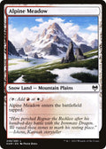 Image for Alpine Meadow (248) (Kaldheim) - Magic: The Gathering