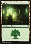 Image for Forest (398) (Kaldheim) - Magic: The Gathering