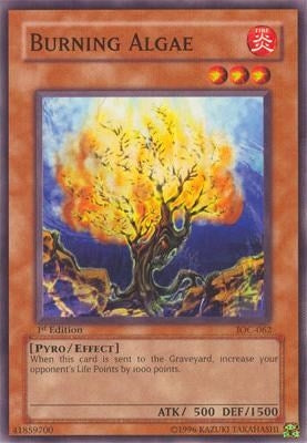 Image for Burning Algae (IOC-062) (IOC) - YuGiOh