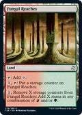 Image for Fungal Reaches (279) (Time Spiral: Remastered) - Magic: The Gathering