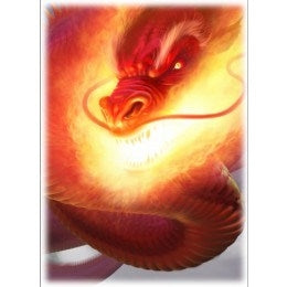 Image for Inferno Card Sleeves - Standard (50-Pack) - Card Sleeves