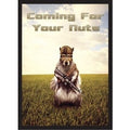 Image for Coming For Your Nuts! Combat Squirrel Double Matte Art Card Sleeves - Standard (50-Pack) - Card Sleeves