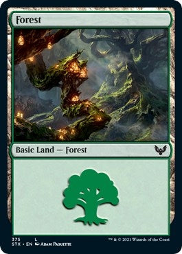Image for Forest (375) (375) (Strixhaven: School of Mages) - Magic: The Gathering