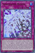 Image for Sunavalon Bloom (GFTP-EN026) (GFTP) - YuGiOh