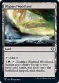 Image for Blighted Woodland (280) (Commander 2021) - Magic: The Gathering