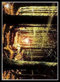 Image for Magic: The Gathering Player's Card Sleeve - Onslaught - Forest (80-Pack) - Card Sleeves