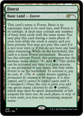 Image for Forest (258) (Full-Text Lands) (258) (Secret Lair Drop Series) - Magic: The Gathering
