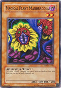 Image for Magical Plant Mandragola (DR1-EN127) (DR1) - YuGiOh