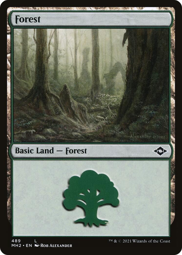 Image for Forest (489) (489) (Modern Horizons 2) - Magic: The Gathering