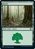 Image for Forest (489) (Foil Etched) (489) (Modern Horizons 2) - Magic: The Gathering