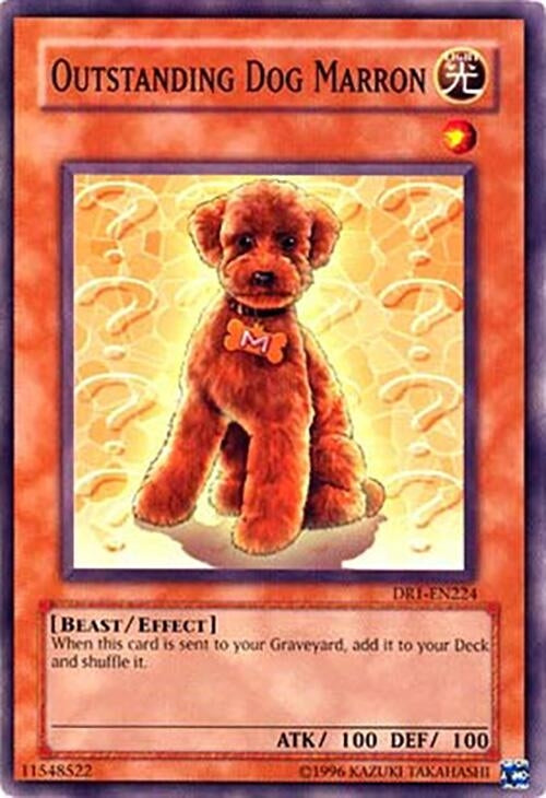 Image for Outstanding Dog Marron (DR1-EN224) (DR1) - YuGiOh