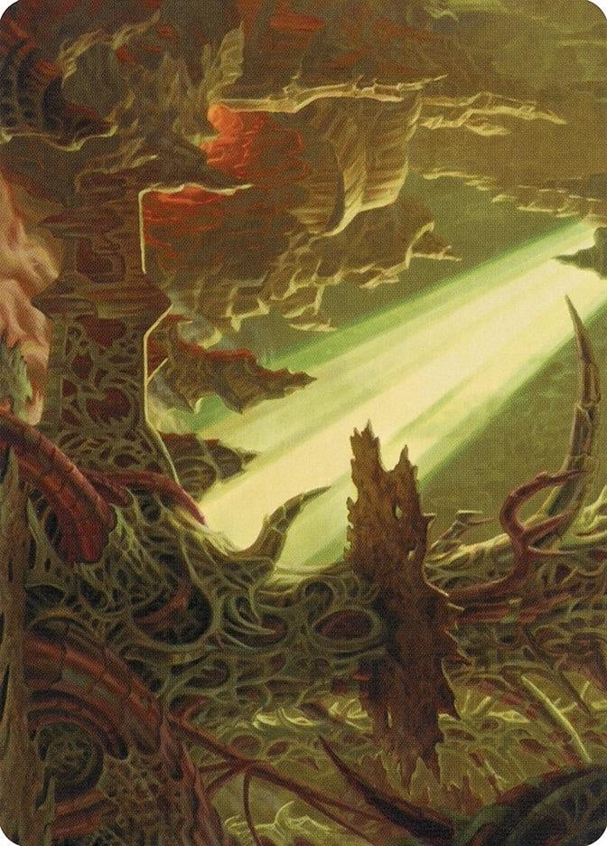 Image for Darkmoss Bridge Art Card (72) (Modern Horizons 2) - Magic: The Gathering