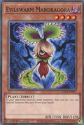 Image for Evilswarm Mandragora (EGO1-EN012) (EGO1) - YuGiOh