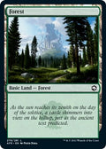 Image for Forest (278) (278) (Adventures in the Forgotten Realms) - Magic: The Gathering