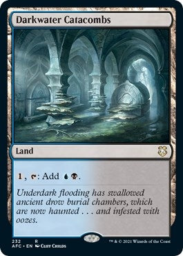 Image for Darkwater Catacombs (232) (Adventures in the Forgotten Realms) - Magic: The Gathering