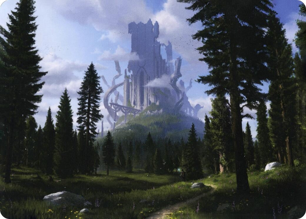 Image for Forest (61/81) Art Card (61) (Adventures in the Forgotten Realms) - Magic: The Gathering