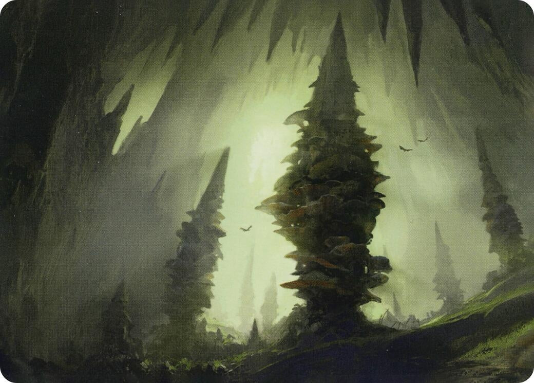 Image for Forest (55/81) Art Card (55) (Adventures in the Forgotten Realms) - Magic: The Gathering