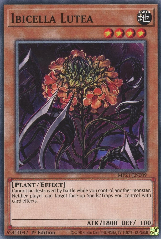 Image for Ibicella Lutea (MP21-EN009) (MP21) - YuGiOh