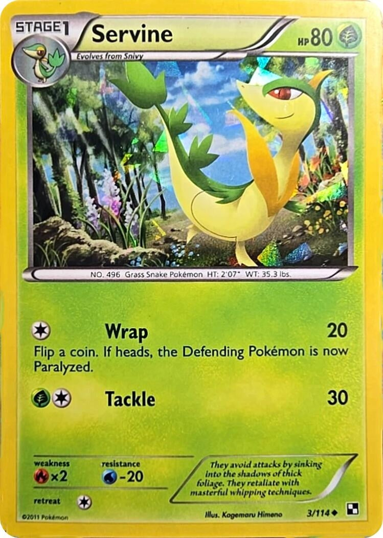 Image for Servine - 3/114 (Cracked Ice Holo) (003/114) (MCAP) - Pokemon