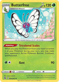 Image for Butterfree (003/264) (SWSH08) - Pokemon