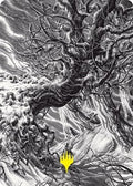 Image for Forest Art Card (Gold-Stamped) (81) (Innistrad: Crimson Vow) - Magic: The Gathering