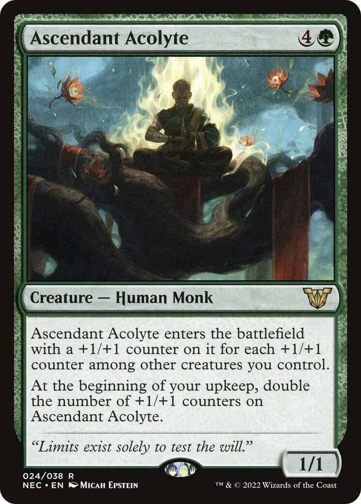 Image for Ascendant Acolyte (24) (Kamigawa: Neon Dynasty) - Magic: The Gathering