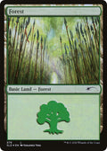 Image for Forest (579) (579) (Secret Lair Drop Series) - Magic: The Gathering