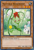 Image for Naturia Rosewhip (HAC1-EN099) (HAC1) - YuGiOh