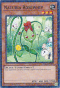 Naturia Rosewhip (Duel Terminal) (HAC1-EN099) (HAC1)