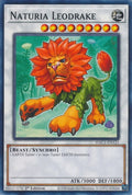 Image for Naturia Leodrake (HAC1-EN121) (HAC1) - YuGiOh