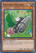 Naturia Antjaw (Duel Terminal) (HAC1-EN097) (HAC1)