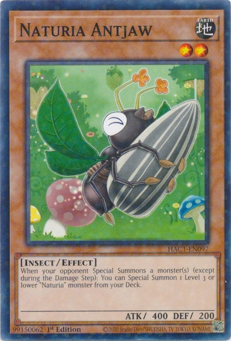 Naturia Antjaw (Duel Terminal) (HAC1-EN097) (HAC1)
