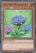 Naturia Hydrangea (Duel Terminal) (HAC1-EN107) (HAC1)
