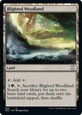 Image for Blighted Woodland (388) (Streets of New Capenna) - Magic: The Gathering