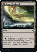 Image for Blighted Woodland (881) (Commander Legends: Battle for Baldur's Gate) - Magic: The Gathering