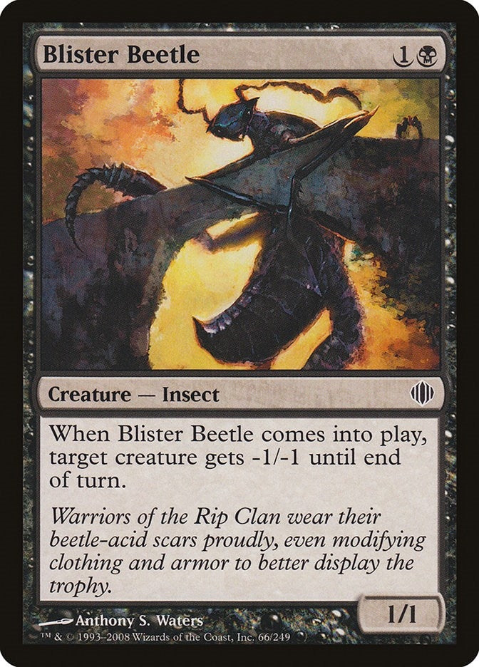 Image for Blister Beetle (66) (Shards of Alara) - Magic: The Gathering