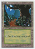 Image for Forest (B) (66) (Introductory Two-Player Set) - Magic: The Gathering