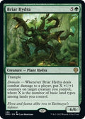 Image for Briar Hydra (286) (286) (Dominaria United) - Magic: The Gathering