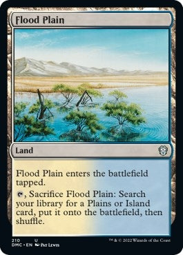 Image for Flood Plain (210) (Dominaria United) - Magic: The Gathering