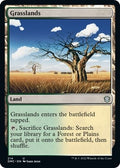 Image for Grasslands (214) (Dominaria United) - Magic: The Gathering