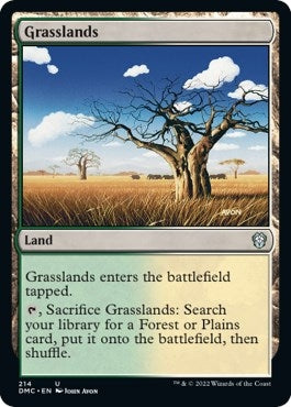 Image for Grasslands (214) (Dominaria United) - Magic: The Gathering