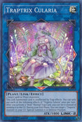 Image for Traptrix Cularia (MP22-EN087) (MP22) - YuGiOh