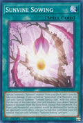 Image for Sunvine Sowing (MP22-EN223) (MP22) - YuGiOh
