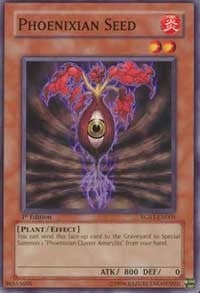 Image for Phoenixian Seed (RGBT-EN005) (RGBT) - YuGiOh