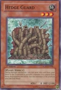 Image for Hedge Guard (RGBT-EN008) (RGBT) - YuGiOh